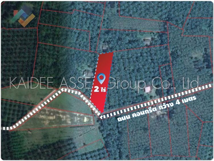ที่ดิน ท่าแซะ ชุมพร สวน ปาล์ม ใกล้ถนน เพชรเกษม ราคาถูก, ภาพที่ 4