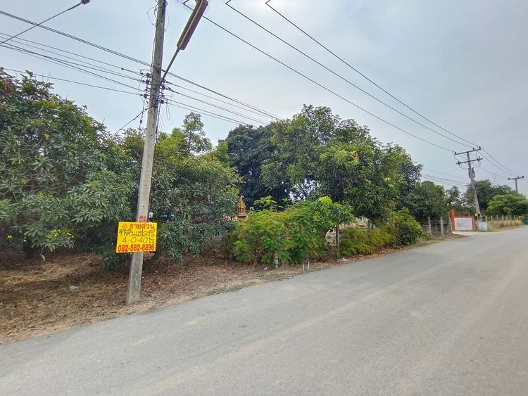 ขายที่ดินสวย ทำเลดี ใกล้วัดลาดเค้า ตำบลจำปาหล่อ อำเภอเมืองอ่างทอง, ภาพที่ 4
