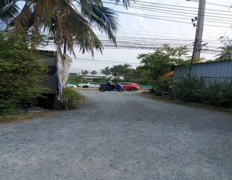 P41LR2209001 ขายที่ดิน 4-2-93 ไร่ ติดถนนกัลปพฤกษ์ ทำเลดีมาก, ภาพที่ 4