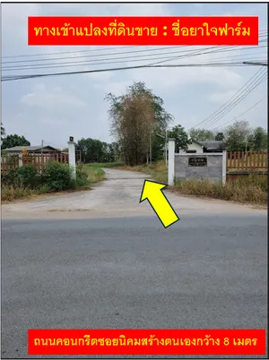 ขาย ที่ดิน ตำบลหนองสาหร่าย อำเภอปากช่อง จังหวัดนครราชสีมา