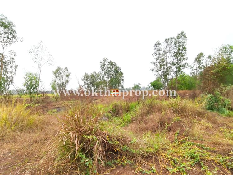 ที่ดิน ถนน3111 อ.บางไทร จ.พระนครศรีอยุธยา, ภาพที่ 4
