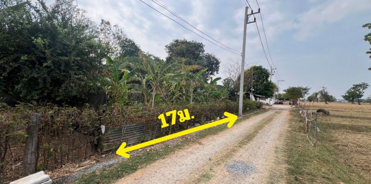 ขายที่ดินขอนแก่น ใกล้บึงหนองโคตร ถนนบ้านกอกน้อย-โคกฟันโปง ต.บ้านเป็ด, ภาพที่ 4