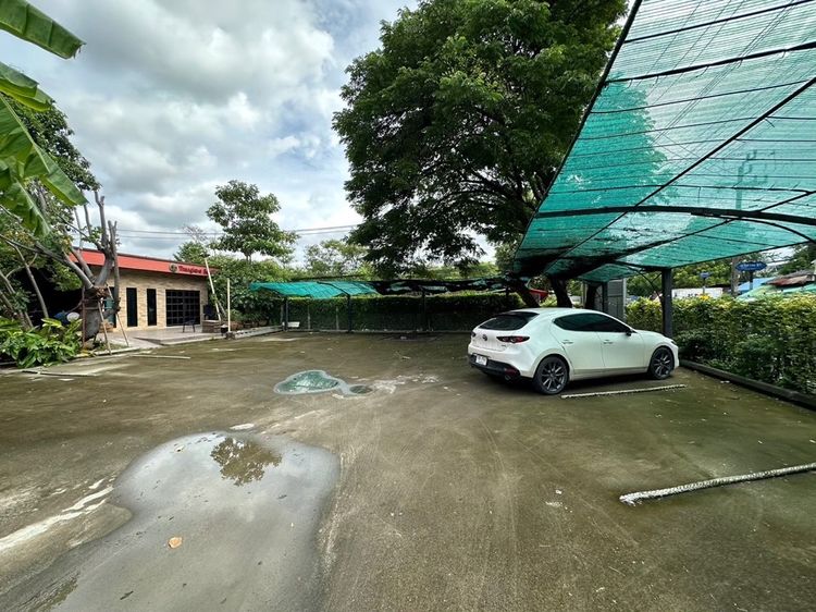 ให้เช่า โรงแรม ร้านอาหาร ในโซนโรงแรมเฉพาะร้านอาหารและบาร์ 202 ตรม. ด่วน, ภาพที่ 4