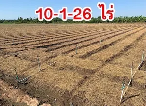 ขายที่ดิน10ไร่ แปลงสวย ทำเลดี โฉนดครุฑแดงพร้อมโอน ติดถนนสาธารณะ เข้าออกได้หลายทาง เดินทางสะดวก ใกล้มอเตอร์เวย์