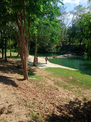 ขายที่ติดน้ำ เขาใหญ่ 21 ไร่ หน้ากว้างติดลำตะคอง สวยมาก อยู่ซอยกำนันโจ้ หนองสาหร่าย ขนงพระ ปากช่อง ใกล้ธนะรัชต์ 12 กม. ใกล้เส้น 2235 เพียง 5.6 กม. (แบ่งขายได้)