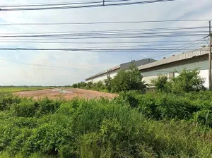 ให้เช่าที่ดินผังสีม่วงลายจุด 30 ไร่ ถมแล้ว ติดถนนใหญ่ ใกล้ตลาดปองพล ตําบลคลองอุดมชลจร อ.เมืองฉะเชิงเทรา ใกล้ถนนสุวินทวงศ์