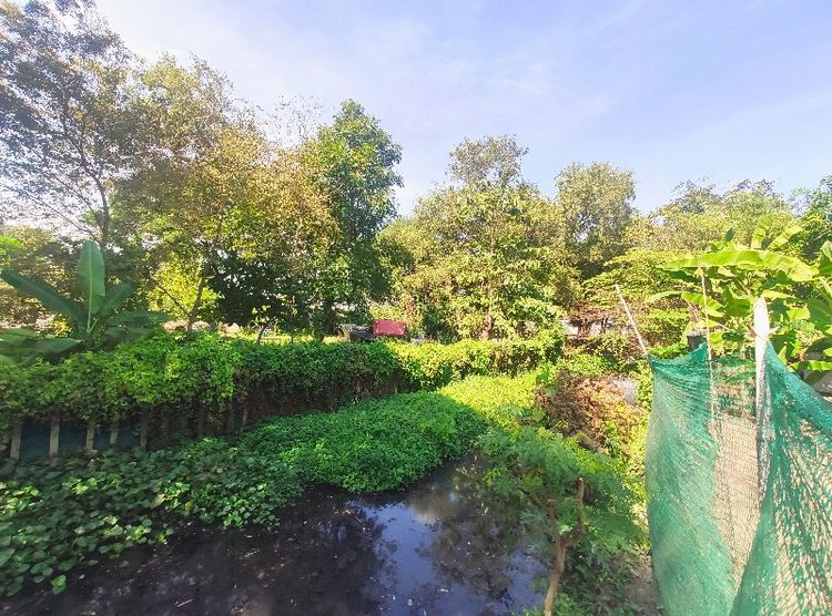 🏠 ขาย บ้านเดี่ยว 2 ชั้น 2 หลัง 7 ห้องนอน บนที่ดิน 1 ไร่ ในซอย 11, ภาพที่ 4