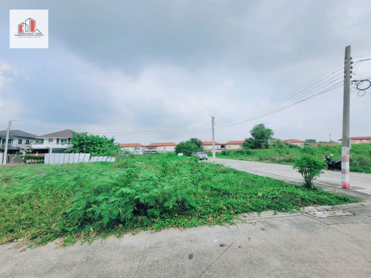 ขาย ที่ดิน ติดถนน 3 ด้านเพชรเกษม77 หนองแขม 67.2 ตร.วา เหมาะสร้างบ้าน, ภาพที่ 4