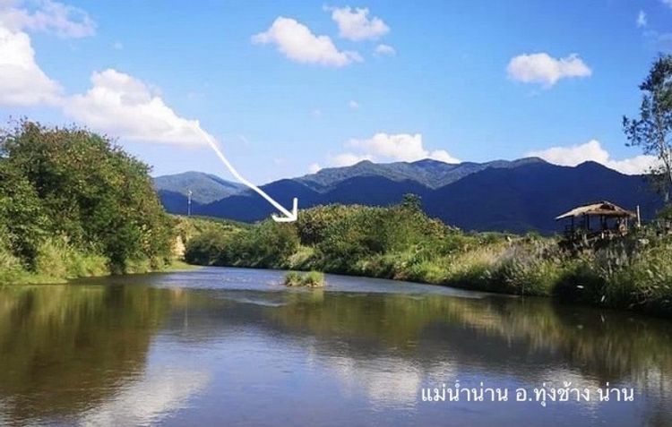 ขายด่วน ติดแม่นํ้าน่าน 4ไร่ ที่ดินสวนป่าสัก พร้อมต้นสัก อายุ 17 ปี , ภาพที่ 4