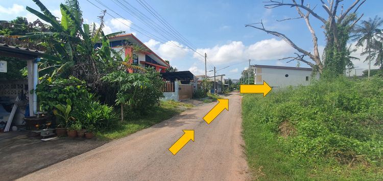 ขายที่ดิน 128.3 ตร.ว. ใกล้บุญถาวร เหมาะปลูกบ้าน (บางใหญ่ ซอย 14), ภาพที่ 4