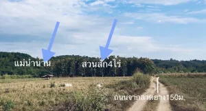 ขายด่วน ติดแม่นํ้าน่าน 4ไร่ ที่ดินสวนป่าสัก พร้อมต้นสัก อายุ 17 ปี  ต.ทุ่งช้าง จ.น่าน