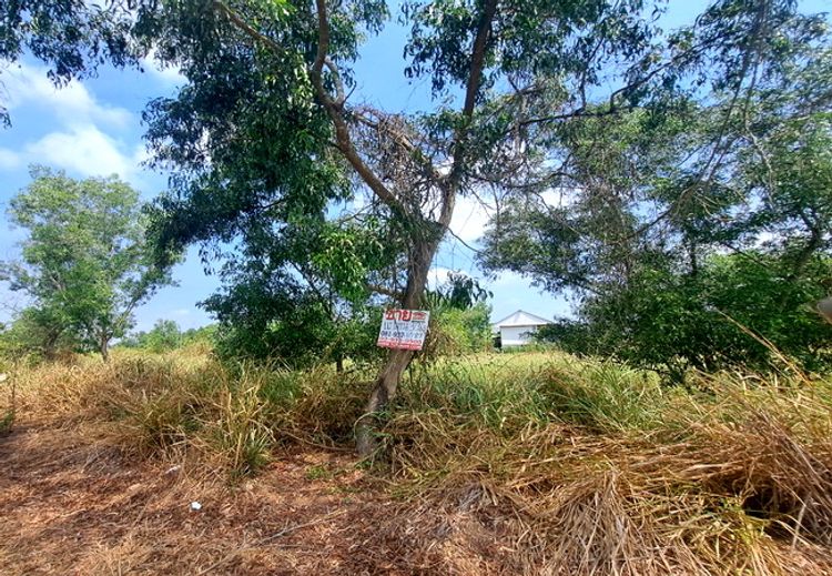 ขายที่ดิน คลอง 5 ซอยคลองห้าตะวันตก 61 ถนนรังสิต-นครนายก อำเภอคลองหลวง, ภาพที่ 4