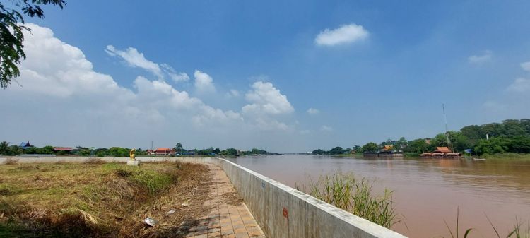 ขายที่ดินริมแม่น้ำเจ้าพระยา 2 ไร่ อยุธยา-อ่างทอง ป่าโมก ติดแม่น้ำ, ภาพที่ 4