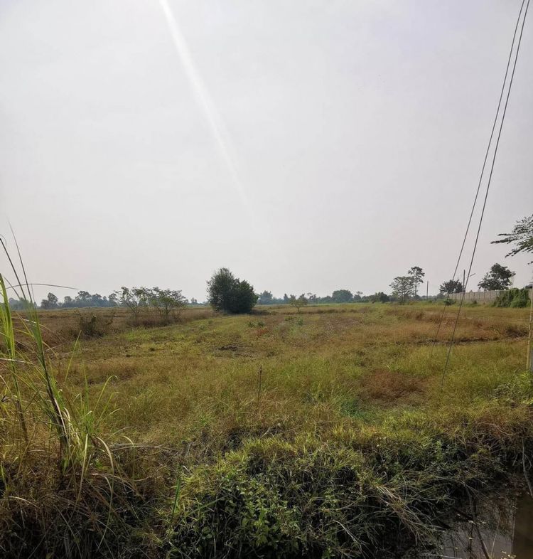 ขาย ที่ดิน ที่ดินแปลงสวย ติดถนนหลัก ท่าเยี่ยม สากเหล็ก สากเหล็ก 4 ไร่ 1, ภาพที่ 4