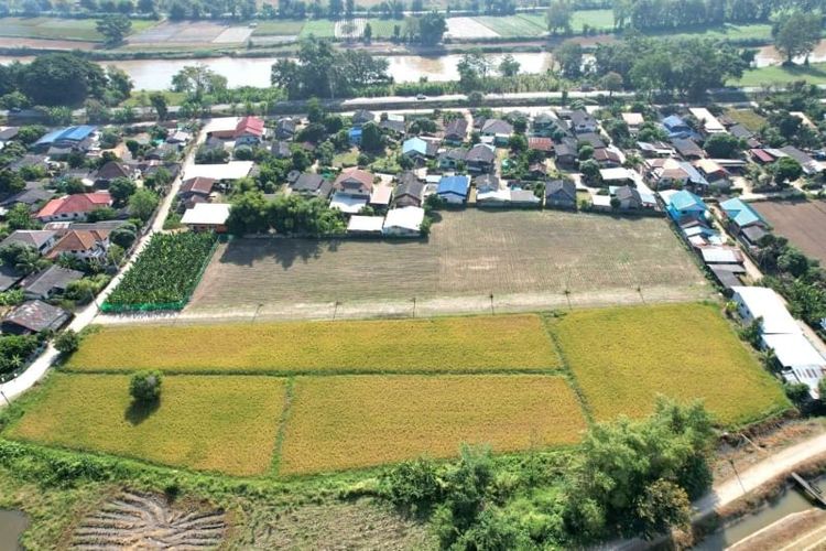 🏞 แบ่งขายที่ 162, 234, 230 ตารางวา ใกล้ตัวเมืองเชียงราย ถนนทางหลวงชนบท, ภาพที่ 4