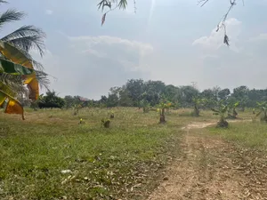 ขาย ที่ดิน ติดน้ำแม่ดู สันทราย เชียงใหม่ เจ้าของขายเอง
