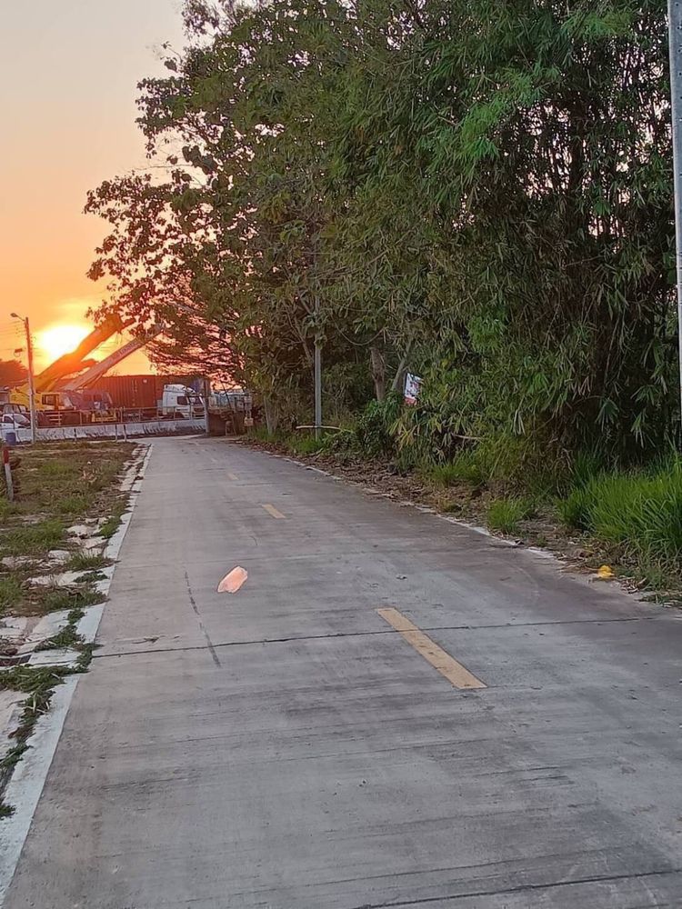 ขายที่ดินแหลมฉบัง จังหวัดชลบุรี, ภาพที่ 4
