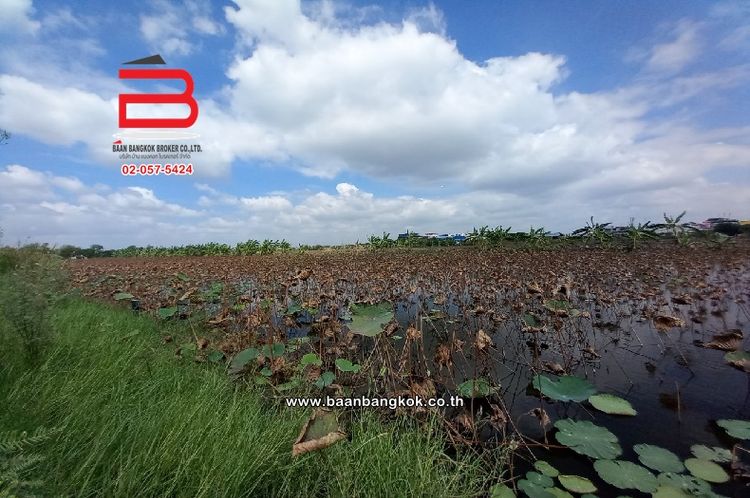  ที่ดินเปล่า ซ.ฉลองกรุง 15 (ซ.อยู่ดี) เนื้อที่ 98 ตรว ถ.สุวินทวงศ์, ภาพที่ 4