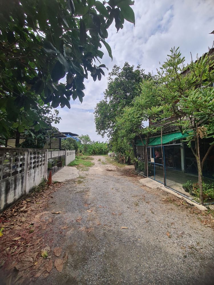 ให้เช่าที่ดินราคาถูกมาก กรุงเทพฯ ทวีวัฒนา ใกล้ถนนบรมราชชนนี ทำเลดีมาก, ภาพที่ 4