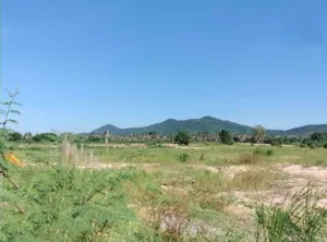 ขายที่ดิน แปลงสวย ทำเลดี บางละมุง ตะเคียนเตี้ย ใกล้แหล่งชุมชน ชลบุรี
