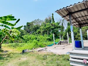ให้เช่าที่ดินราคาถูกมาก กรุงเทพฯ ทวีวัฒนา ใกล้ถนนบรมราชชนนี ทำเลดีมาก เหมาะทำที่อยู่อาศัย ทำโกดัง ทำร้านอาหาร ทำสนามฟุตบอล ทำห้องเช่า เดินทางสะดวก