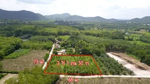 ขาย #ที่ดินวิวเขา ขนาด 3 ไร่ 1 งาน 30 วา มี #ไฟฟ้า #ประปา ใกล้ #เทศบาลนาอ้อ 800 เมตร #นาอ้อ #เมืองเลย #เลย