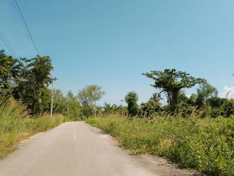 ขายที่ดินแบ่งแปลง แถว ต.บางชนะ อ.เมือง สุราษฎร์ธานี เริ่ม 520,000 บาท, ภาพที่ 4