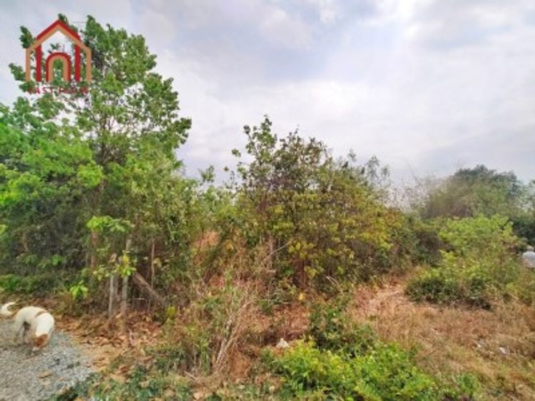 ขาย ที่ดินเปล่า 3 งาน 85.7 ตร.ว. ต.กู่ทอง อ.เชียงยืน มหาสารคาม, ภาพที่ 4