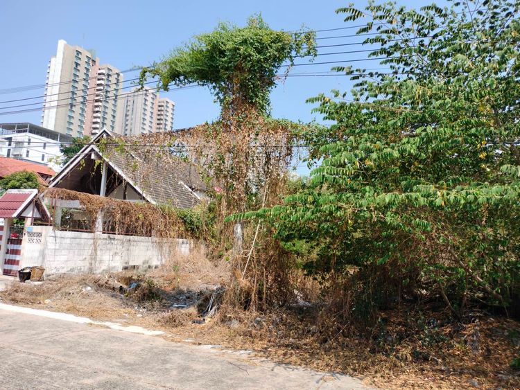 ขายที่ดินเปล่าจัดสรร เมืองทองธานี (โครงการ 3) ที่ตั้ง จ.นนทบุรี 75, ภาพที่ 4