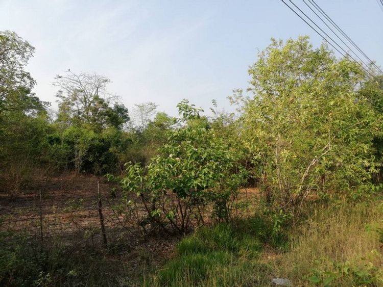 โปรลดแรงเอาใจลูกค้าแถมราคาคุยต่อรองได้  ขาย ที่สวยติดทางหลวง1107 จ.ตาก , ภาพที่ 4