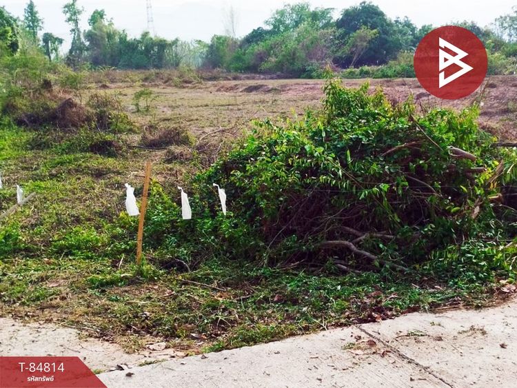 ขายที่ดินเปล่า เนื้อที่ 3 ไร่ แม่ใจ พะเยา, ภาพที่ 4