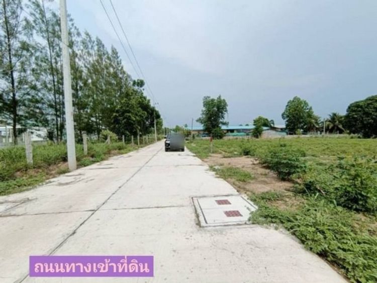 ขายที่ดินสีม่วงลายจุด ติดWHA มาบปูเขาคันทรง ศรีราชา ชลบุรี FP-L0143, ภาพที่ 4