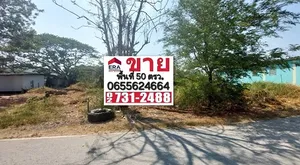 ขายที่ดิน ซ.สกุลช่าง ถ.บางกรวย-ไทรน้อย บางบัวทอง นนทบุรี พื้นที่ 50 ตรว. เข้าซอยเพียง 300 เมตร หน้ากว้าง 12 ม. ลึก 16 ม.