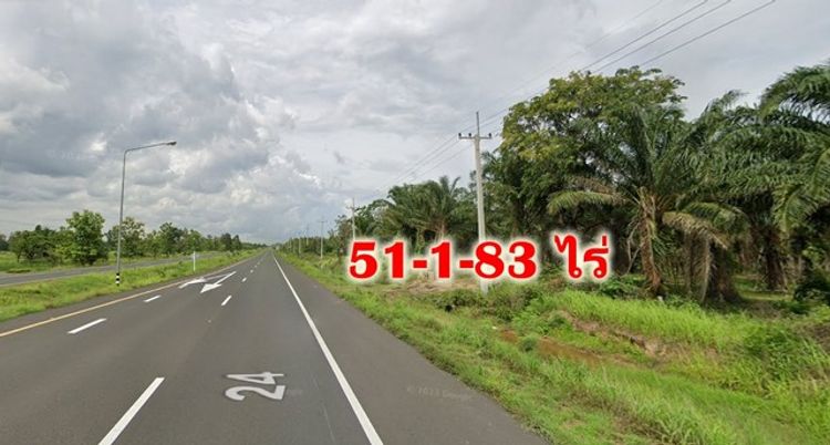 ขายด่วนที่ดินสวนปาล์ม 51-1-83 ไร่ ติดถนน 24 โชคชัย – เดชอุดม  เบญจลักษ์, ภาพที่ 4