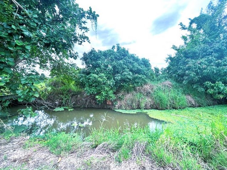 ขาย ที่ดิน ต.หนองแก๋ว อ.หางดง จ.เชียงใหม่  PAP6-0137, ภาพที่ 4