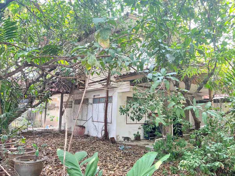 ที่ดิน 110 ตร.ว. พร้อมบ้าน ตามสภาพ หนองแขม         , ภาพที่ 4