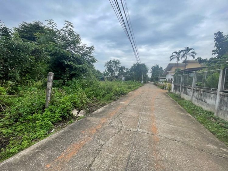ขาย ที่ดิน ต.ป่างิ้ว อ.เวียงป่าเป้า จ.เชียงราย PAP7-0613, ภาพที่ 4