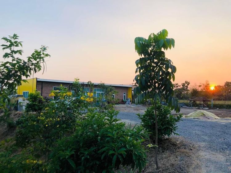 ขายที่ดินหนองจอก พร้อมบ้านสร้างใหม่ ที่ดินสวย แถมที่งอก 200ตรว., ภาพที่ 4