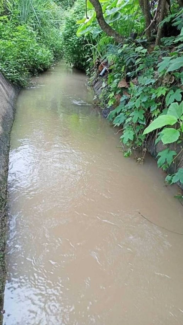 โซนแม่ริม ขายยกแปลง 5 ล้าน เนื้อที่ 6-2-33 ตรว. วิวภูเขา ที่ดินสวย, ภาพที่ 4