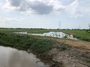ขายที่ดินหนองจอก ถนนมิตรไมตรี 4ไร่ 76ตรว 
