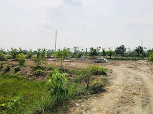 ขายที่ดินหนองจอก พร้อมบ้านสร้างใหม่ ที่ดินสวย แถมที่งอก 200ตรว.