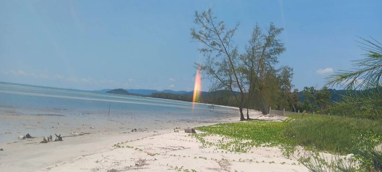 ขายที่ดินติดทะเล หาดไม้รูด อ.คลองใหญ่ จ.ตราด (รับนายหน้า) สนใจโทร 089, ภาพที่ 4