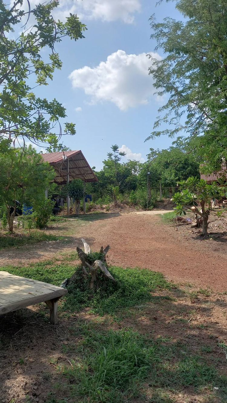 ขายบ้านสวน ห่างจากราชภัฏเลย 5 นาที บรรยากาศริมเขา, ภาพที่ 4