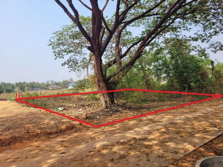 ขายด่วนที่ดิน บ้านแดงน้อย ต.บ้านทุ่ม อ.เมือง จ.ขอนแก่น, ภาพที่ 4