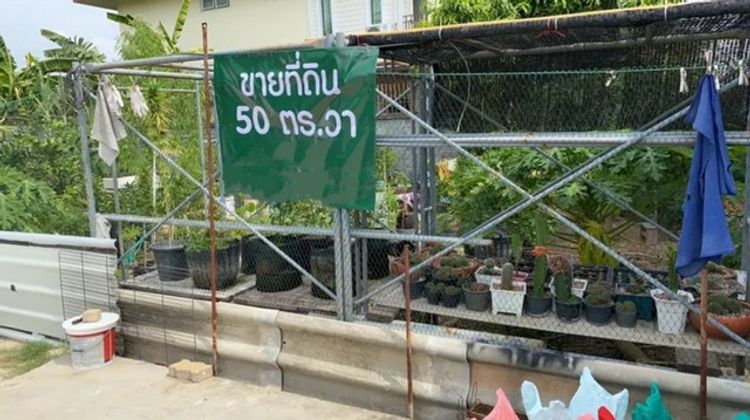 S2490 ขายที่ดินเนื้อที่ 50 ตารางวา ถนนสุขาภิบาล 5 ซอย 5 ย่านวัชรพล, ภาพที่ 4