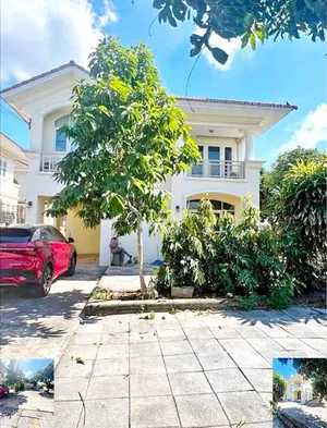 สุวินทวงศ์ สวนรอบบ้าน 98ตรว.หนองจอก ให้เช่าคฤหาสน์ 2 ชั้น 198ตรม. รักสัตว์ บรรยากาศดี 3นอน 3น้ำ 4จอดรถ 2แอร์ ใกล้ลาดกระบัง 