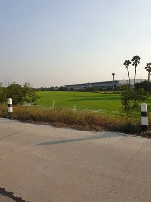 ขาย ที่ดิน ตำบลคลองควาย อำเภอสามโคก จังหวัดปทุมธานี