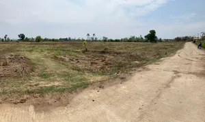 ที่ดิน ลำปาง 500 เมตรจากแยกแม่ทะ เกือบ 4 ไร่  เพียง 9 แสนบาท