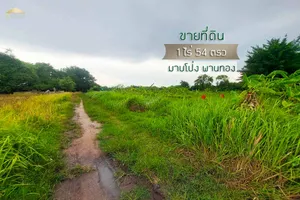 ขายที่ดิน 1 ไร่  57 ตารางวา มาบโป่ง พานทอง ชลบุรี