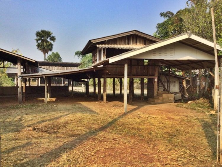 ขาย ที่ดินพร้อมสิ่งปลูกสร้าง บ้านพักอาศัยไม้ใต้ถุนสูง 1 ชั้น  ต.ปงยางคก, ภาพที่ 4